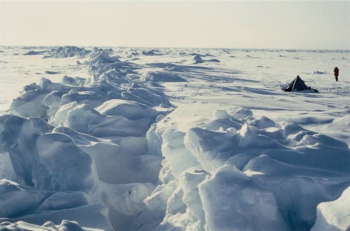 Aspecto del Ártico congelado