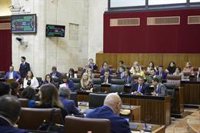 La reforma de la Ley andaluza de Atención a las personas con discapacidad supera el debate de totalidad en el Parlamento