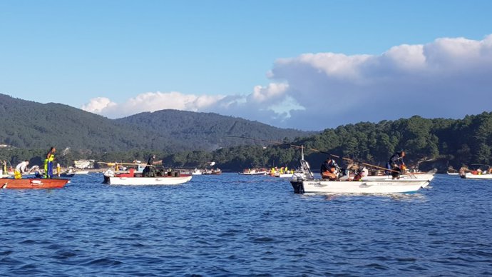 Archivo - Marisqueo en la ría de Noia