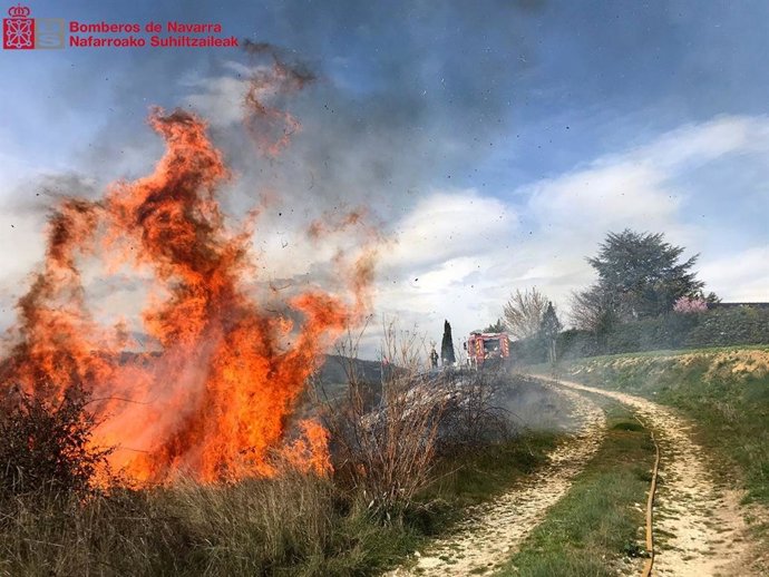 Imagen del incendio forestal declarado en Muez