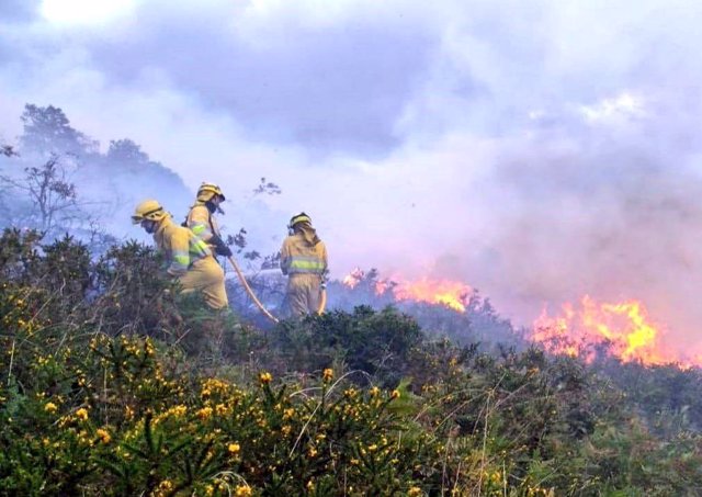 Extinción de un incendio forestal en Cantabria