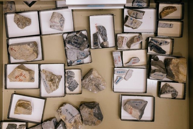 Muestras de rocas carbonatadas recolectadas en el Cratón del Norte de China.