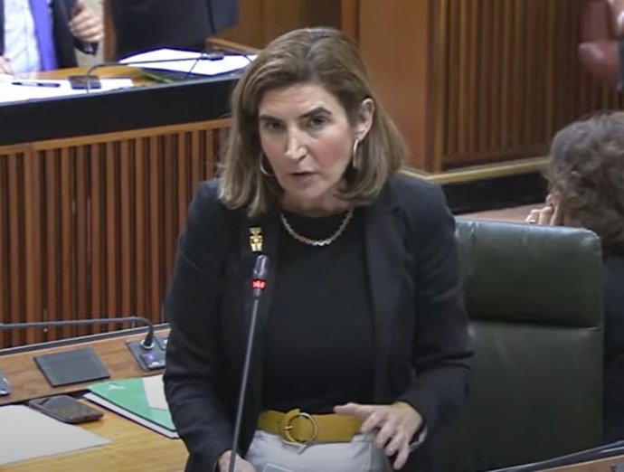 La consejera de Empleo, Empresa y Trabajo Autónomo, Rocío Blanco, en el Parlamento andaluz.