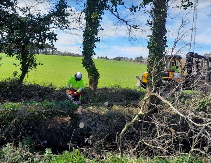 Archivo - La CHC realiza labores de conservación en el río Anguileira en Castropol.