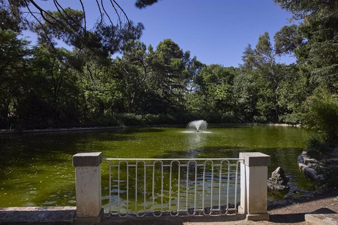 Archivo - Estanque en el parque Quinta de los Molinos, a 24 de julio de 2022, en el distrito de San Blas-Canillejas.