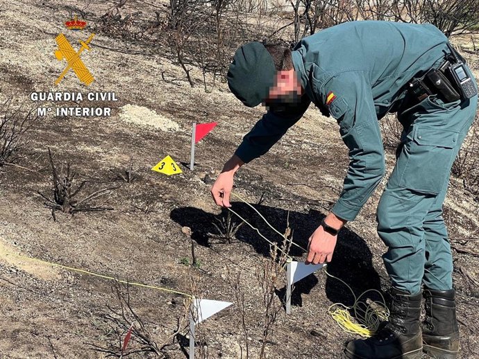 Archivo - Agente del Seprona en una imagen de archivo