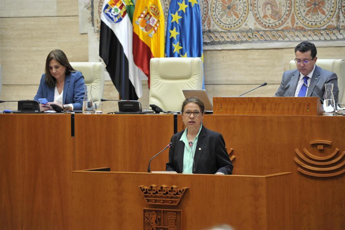 La vicepresidenta primera de la Junta y consejera de Hacienda y Administración Pública, Pilar Blanco-Morales, comparece en la Asamblea