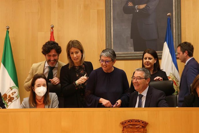 Un momento del Pleno ordinario del mes de marzo de la Diputación de Málaga.