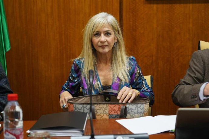 Archivo - La consejera de Desarrollo Educativo y Formación Profesional, Patricia del Pozo, en una imagen de archivo