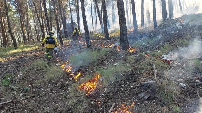 Quema foresal prescrita en El Neveral