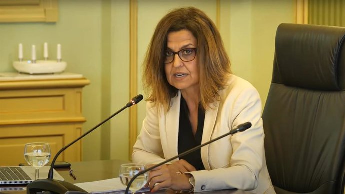 La directora general de Provivienda, Gema Gallardo, en una comparecencia en el Parlament.