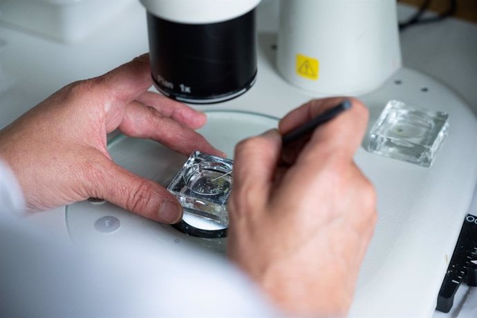 Trabajos en un laboratorio del CSIC