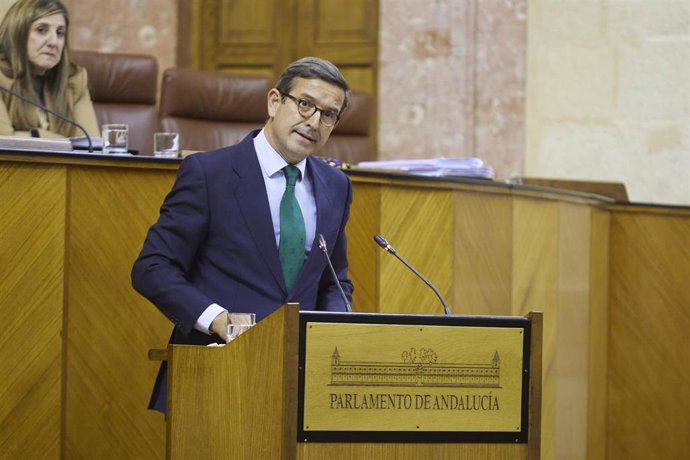 El consejero de Políticas para la Industria y la Energía de la Junta de Andalucía, Jorge Paradela, en el Parlamento.