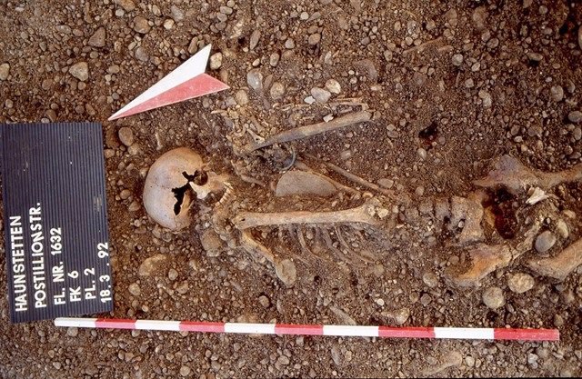 Archivo - Restos humanos del Neolítico 