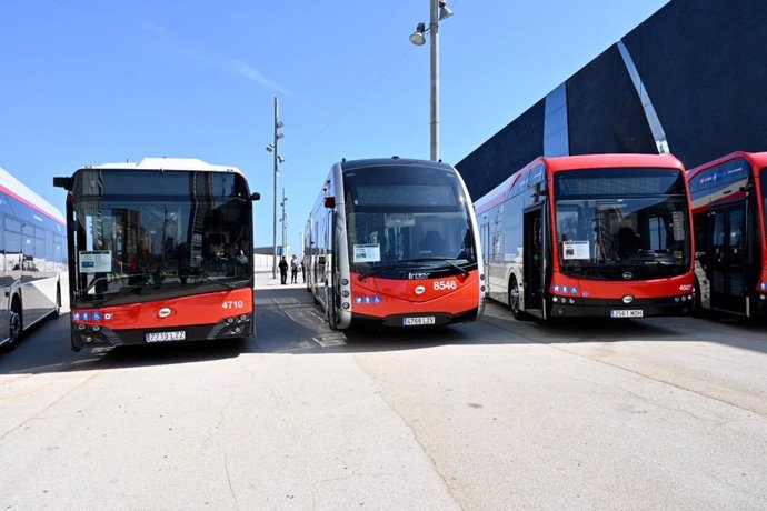 Algunos de los autobuses eléctricos que se incorporarán a la nueva flota de bus de TMB.