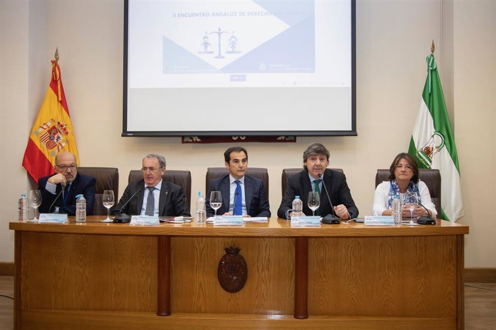 II Encuentro de Derecho del Menor
