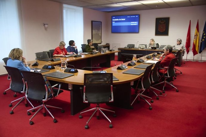 Un momento de la Comisión Especial de Salud del Parlamento de Navarra