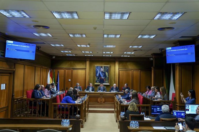 Pleno en la Diputación Provincial de Almería