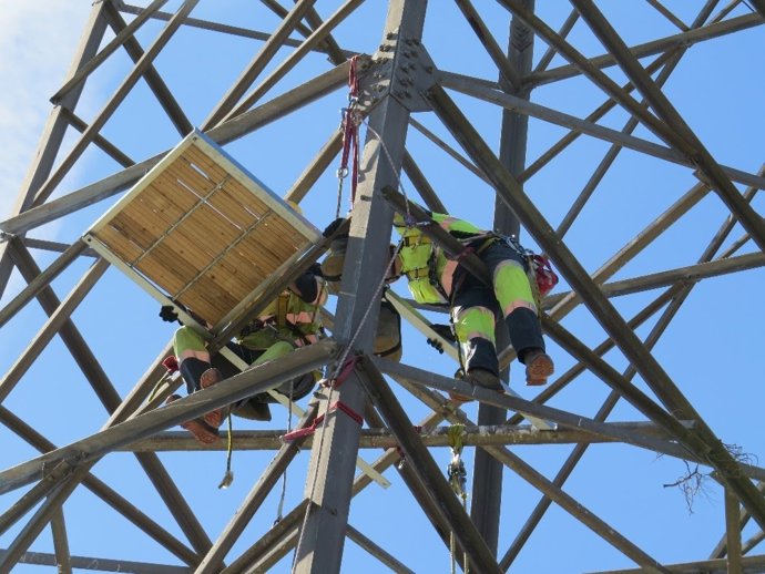 Instalación de nido de águila pescadora en la torre de alta tensión.