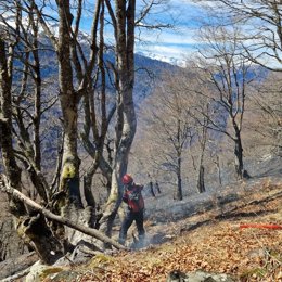 Incendi a Canejan (Lleida)