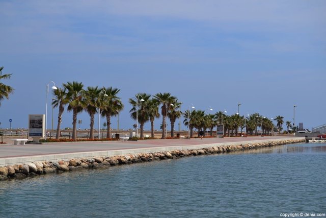 Imatge del port de Dénia