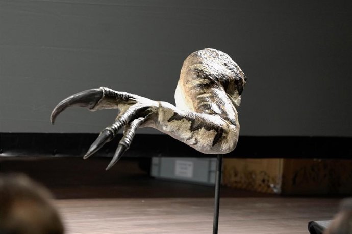 Resultado de la excavación desarrollada en el yacimiento 'Virgen de Villar-2' de Igea