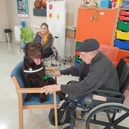 Mayores de la residencia en terapia con animales