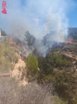 Incendio forestal en Sax