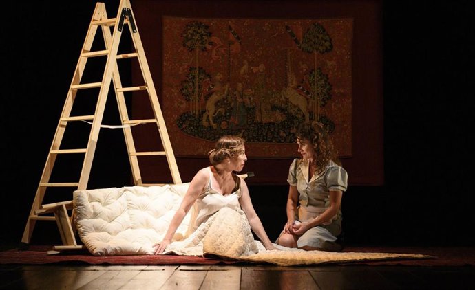 La versión que se presenta está dirigida por Paco Mir (Tricicle)