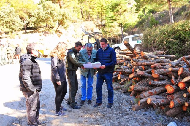 Visita del delegado territorial de Sostenibilidad, Medio Ambiente y Economía Azul de la Junta, Manuel Francisco García, a los trabajos selvícolas preventivos que la Consejería efectúa en Dílar (Granada).