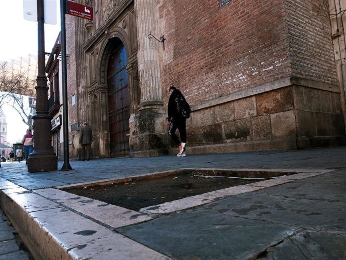 Alcorque vacío en Sevilla.