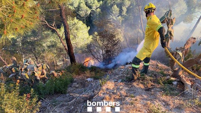 Els Bombers treballen amb 13 dotacions en un incendi a Vallirana (Barcelona)