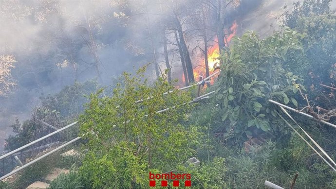 Estabilitzat l'incendi que crema en una zona forestal de Vallirana (Barcelona)