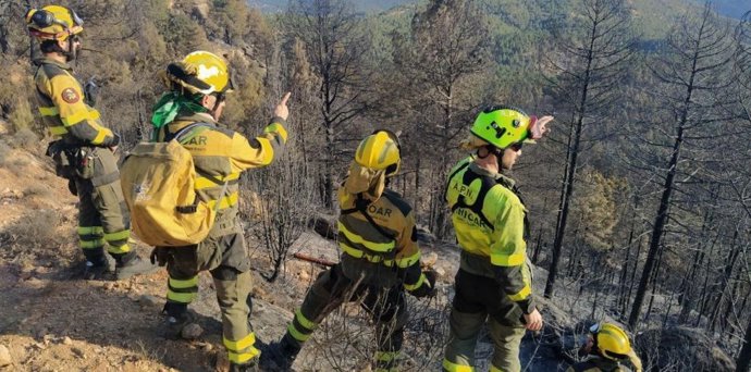 Miembros del operativo