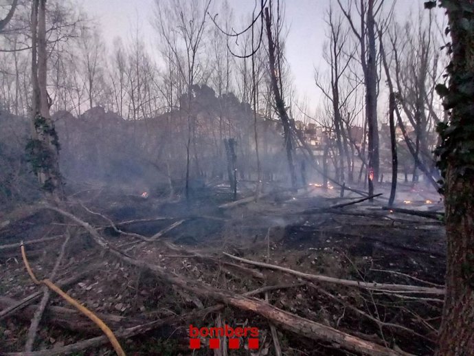 Zona afectada por el incendio de Camarasa (Lleida), que ha quemado una zona de vegetación "muy seca"