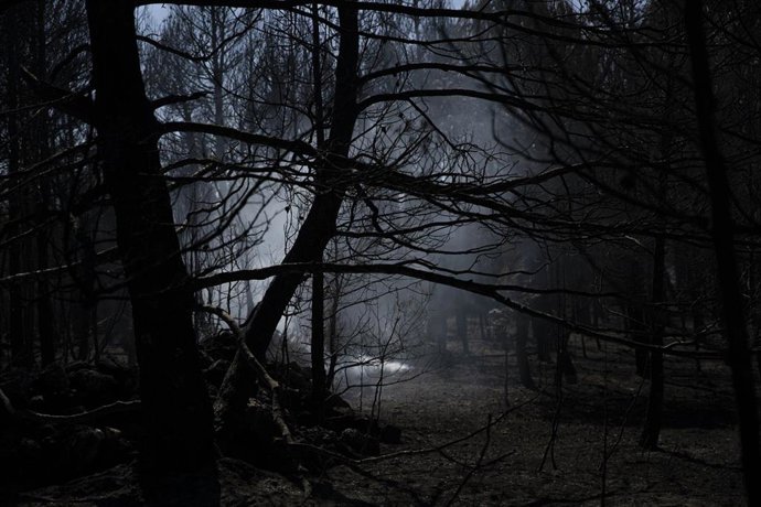 Terreno calcinado de la pedanía de Los Peiros por el incendio  forestal