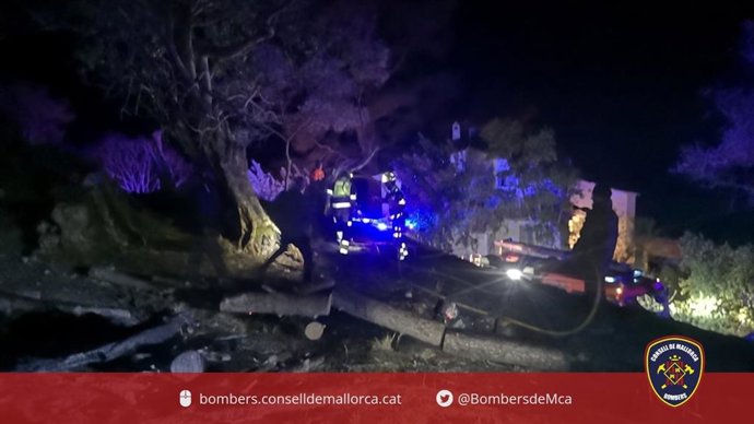 Imagen del incendio en Bunyola.