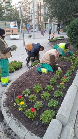 Personal del centro especial de empleo realizando tareas de plantación.