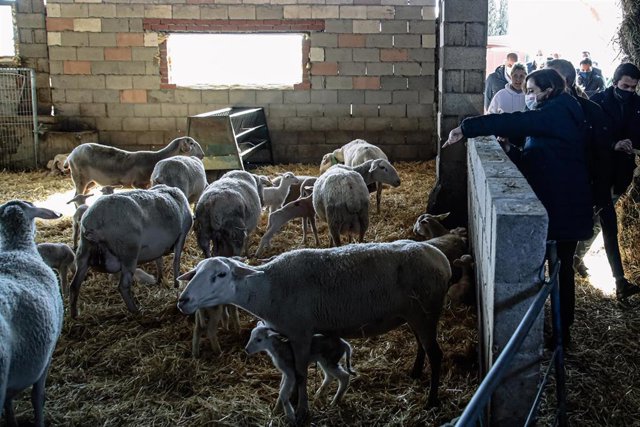 Isabel Díaz Ayuso en la presentación de los trabajos preventivos frente a incendios forestales