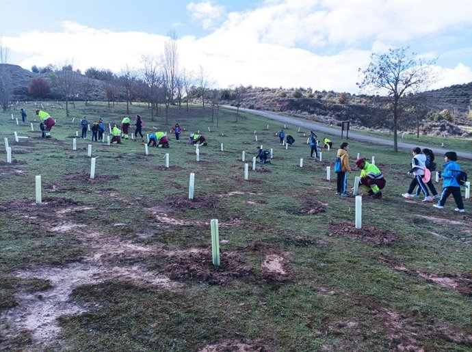 Más de un centenar de escolares de El Arco y de Paula Montal plantan 200 árboles y arbustos en La Grajera
