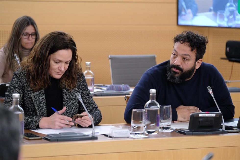 La portavoz del PP en el Cabildo de Tenerife, Zaida González, y el portavoz de Sí Podemos, David Carballo