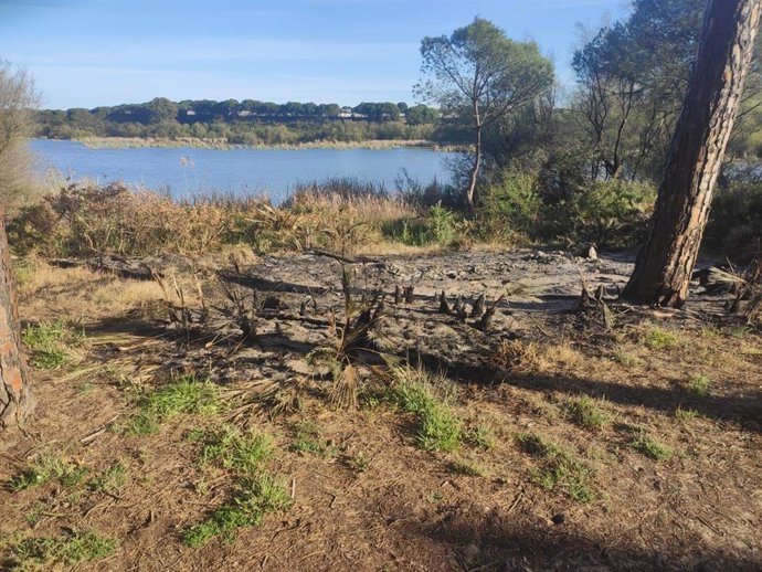 Restos de ceniza en la zona en la que se encontraba en observatorio.