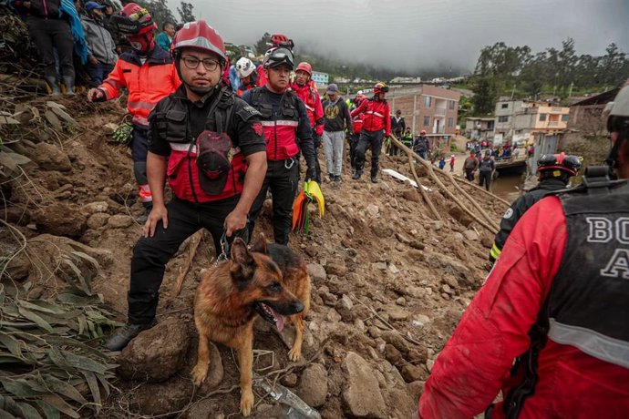 Labores de búsqueda y rescate tras un corrimiento de tierra en Alausí, en el centro de Ecuador