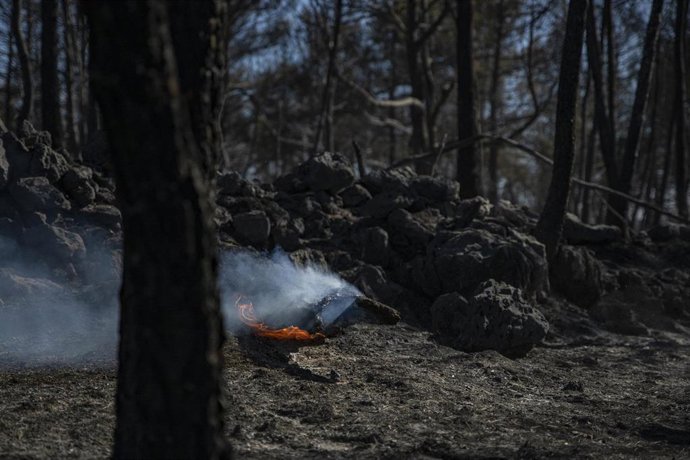 Terreno calcinado de la pedanía de Los Peiros por el incendio  forestal