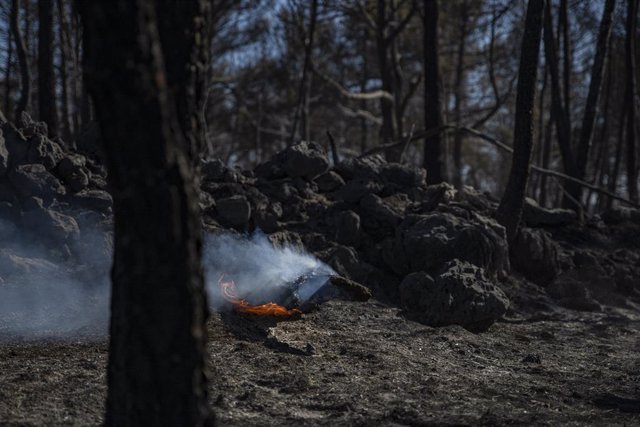 Terreny calcinat de la pedania de los Peiros per l'incendi  forestal