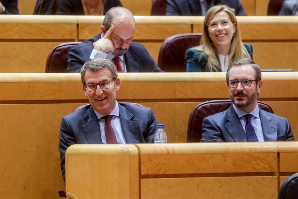 Archivo - El líder del Partido Popular, Alberto Núñez Feijóo (i), y el portavoz del Partido Popular (PP) en el Senado, Javier Maroto (d), durante una sesión plenaria de control en el Senado, a 7 de febrero de 2023, en Madrid (España). Durante el pleno,