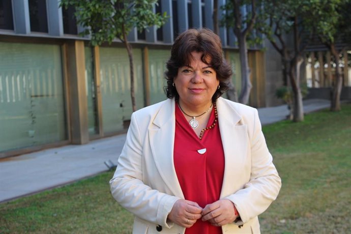 Archivo - Sevilla.-PP de Diputación: "El PSOE se pone del lado de agresores sexuales al rechazar la moción del 'Solo sí es sí'"