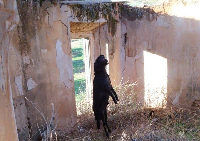 Archivo - Imagen de arhivo del hallazgo de Simba.