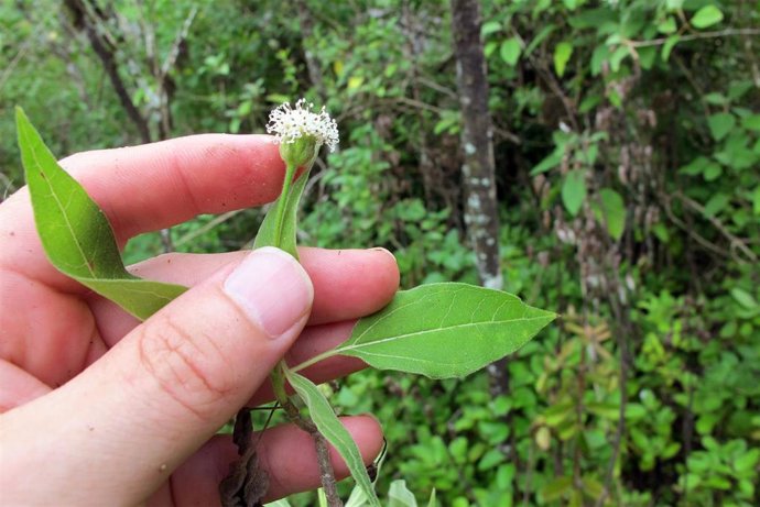 Un científico de la UMA participa en un proyecto que analiza el mundo microbiano en las Islas Galápago