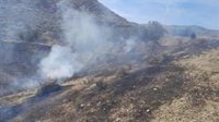 El "preocupante incremento" de incendios en Almería obliga a desautorizar quemas agrícolas desde el 1 de abril